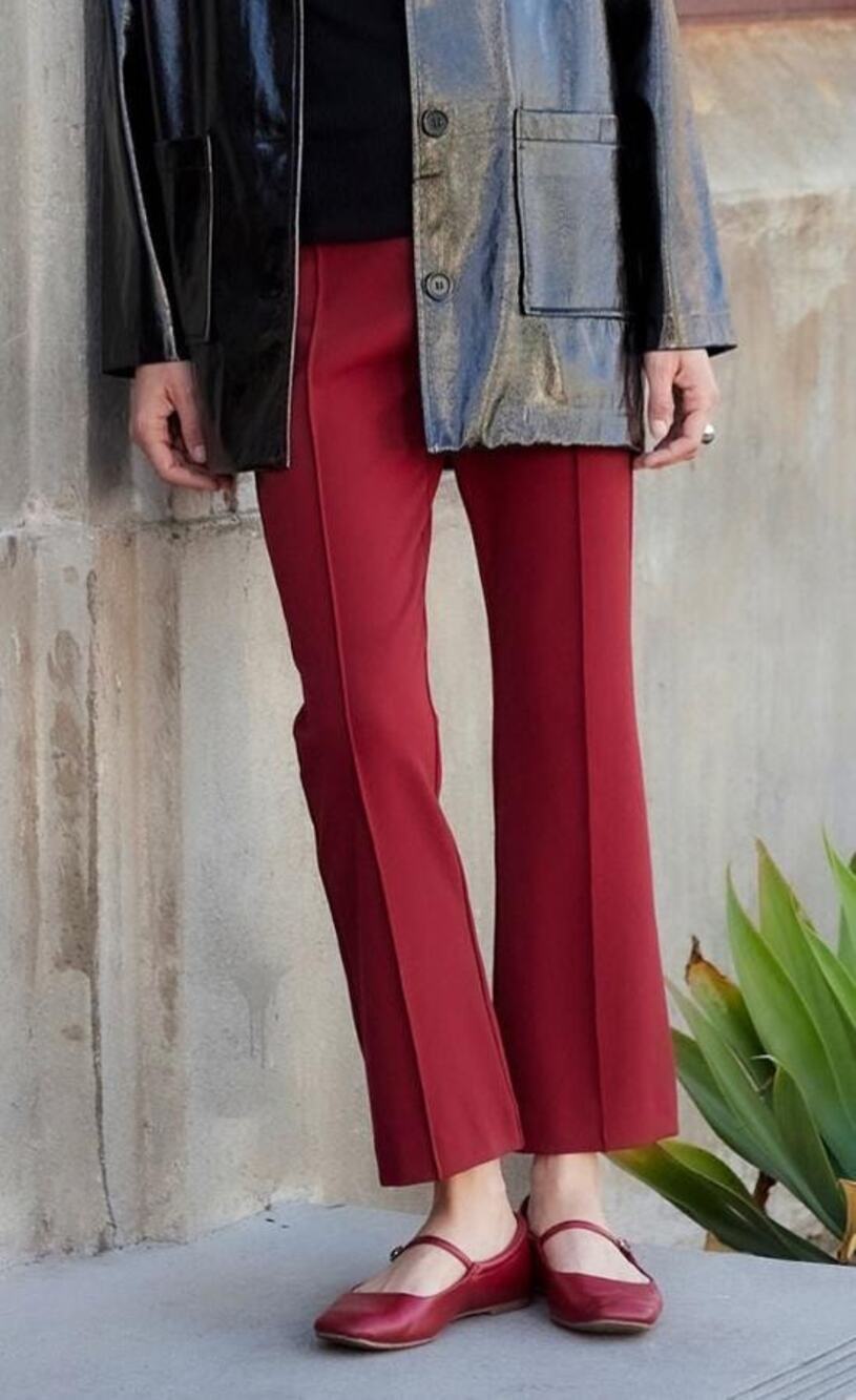 Fifteen Twenty Sigourney Pintuck Pants Brick Red XS NWT Minimalist QuietLuxury
